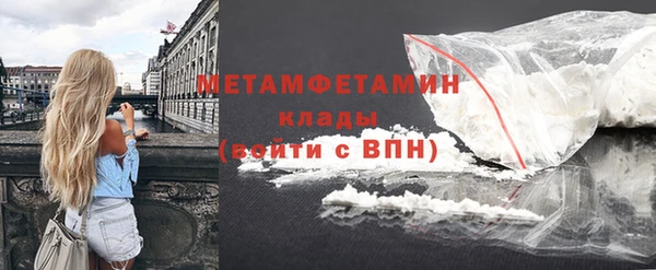 прущие грибы Новозыбков