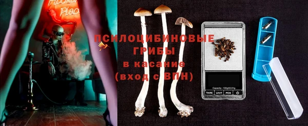 прущий лед Аркадак