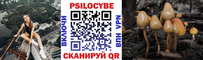 Галлюциногенные грибы мухоморы  Родники 