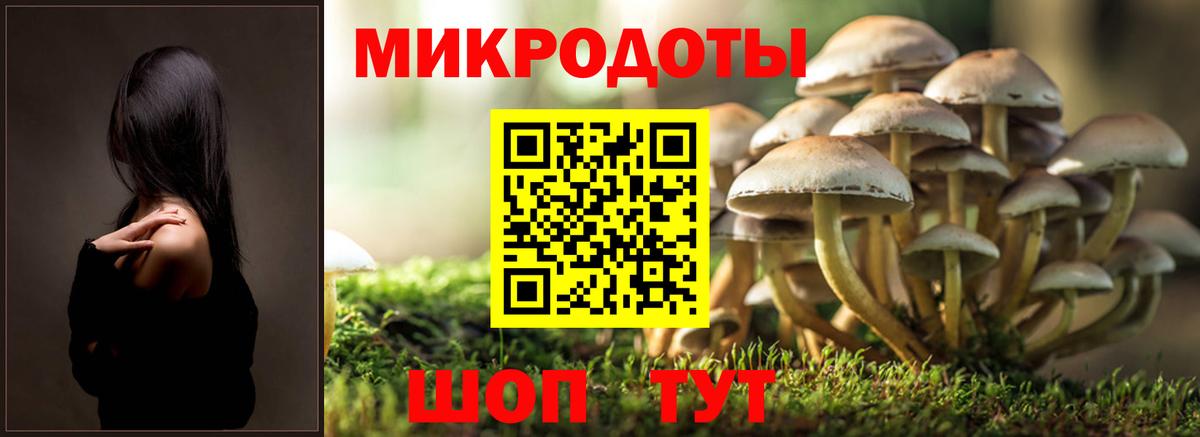 купить  цена  Псилоцибиновые грибы Psilocybe  Вход с VPN  Галлюциногенные грибы GOLDEN TEACHER  Родники 